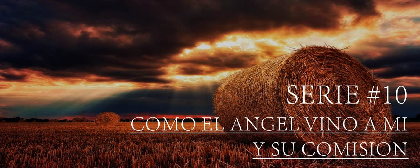 SERIE #10 COMO EL ANGEL VINO A MI