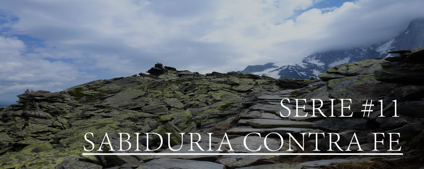 SERIE #11 SABIDURIA CONTRA FE