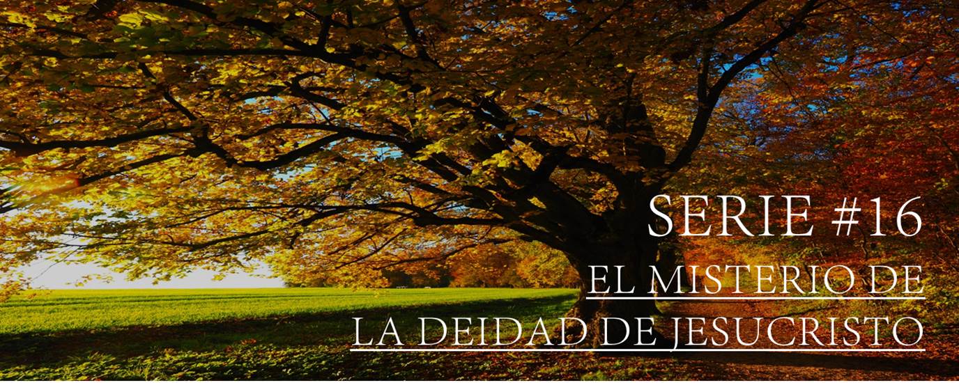 SERIE #16 EL MISTERIO DE LA DEIDAD DE JESUCRISTO